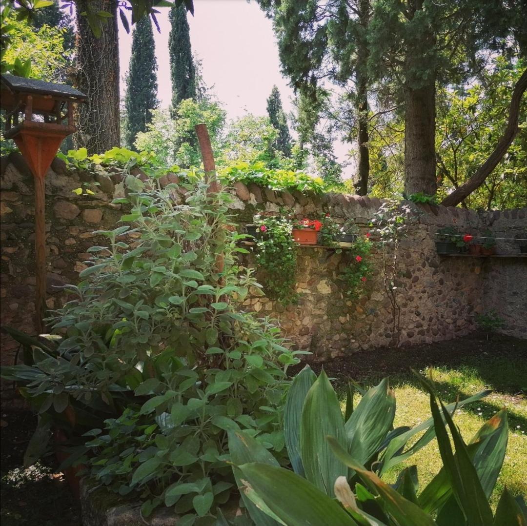 Apartament La Casa Di Marzia Bardolino Zewnętrze zdjęcie